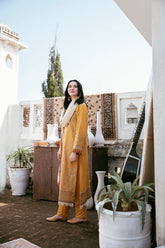 Florant on emb Dhanak with Dhanak  emb shawl